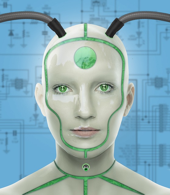 Deze afbeelding heeft een leeg alt-attribuut; de bestandsnaam is cyborg-3300454_640.jpg